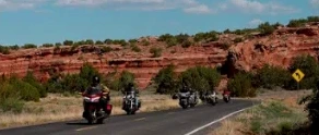 AnyMotion · on the road