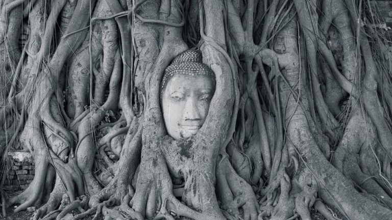 Reisfotografie Thailand