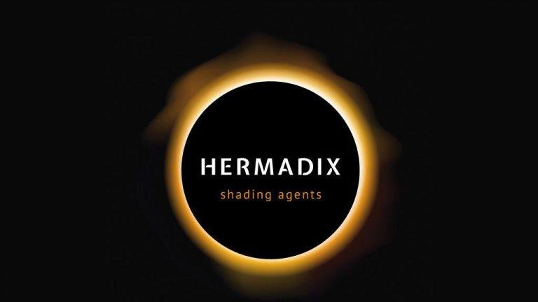 Hermadix VR 360 Rollercoaster