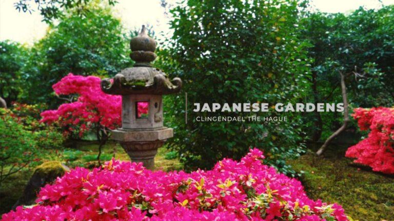 Clingendael & Japanse tuinen