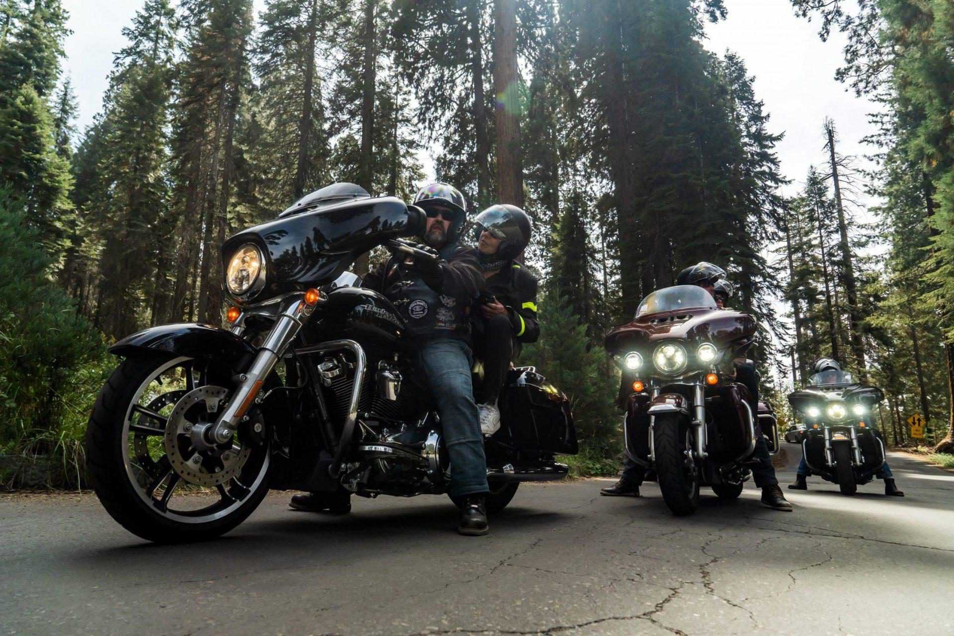 Harley riders in Kings Canyon