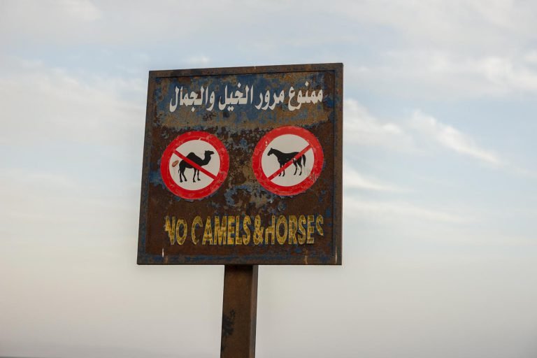verboden voor paarden en honden
