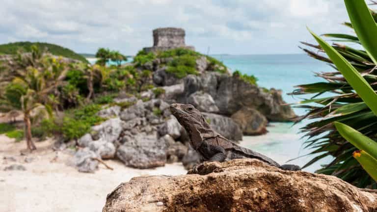 Mexico Reisfotografie