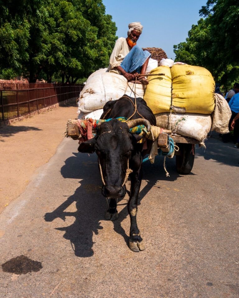 Near Fatephur Sikri