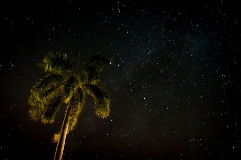 Milky way above indian sky