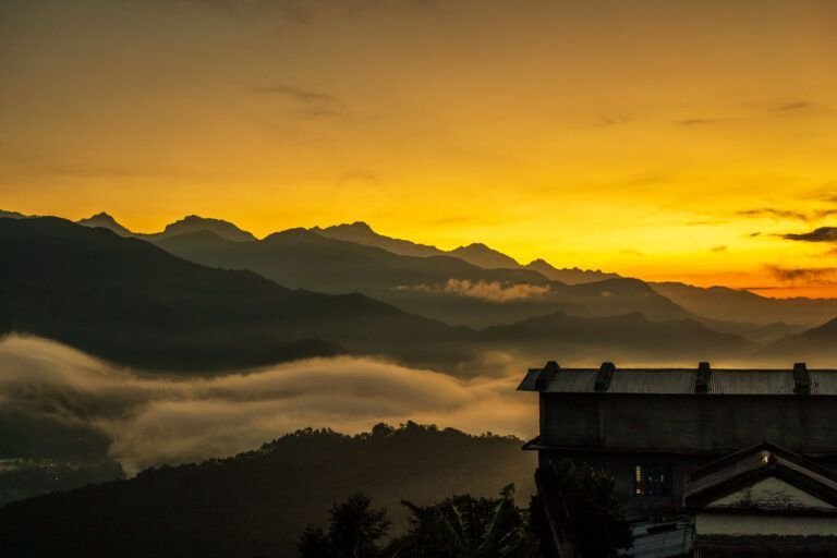 himalayan